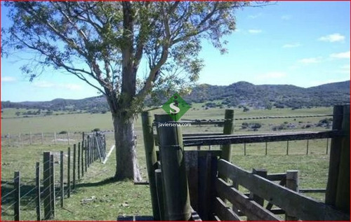 Venta De Campo En Lavalleja, Zona Del Penitente 528 Hectareas, Con Arroyo.- Ref: 168269