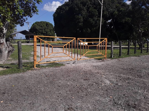 Imagen 5 de 14 de Finca En Venta - El Manteco, Estado Bolivar Fl