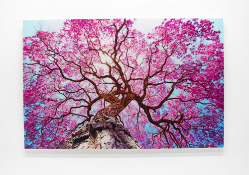 Cuadro Decorativo Moderno Arbol Cerezo Japones Rosa