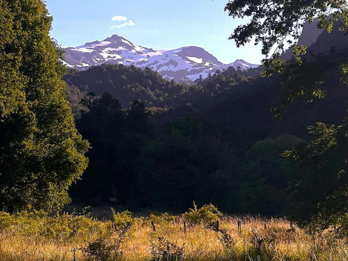 Parcela En La Precordillera Malalcahuello