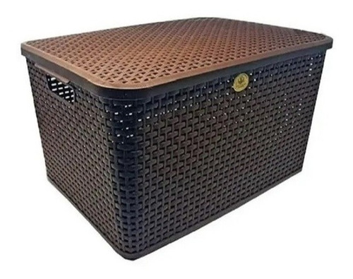 Canasta O Cesta Tipo Rattan Con Tapa Multiusos