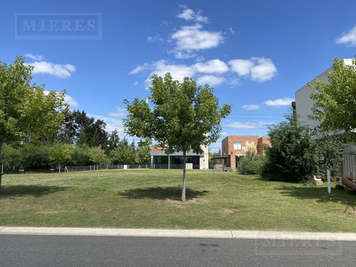 Imagen 1 de 8 de Lote Interno En Venta. Tipas , Nordelta.