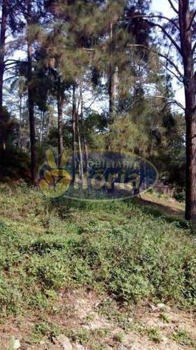 Imagem 2 de 10 de Chácara Para Venda No Bairro Batistini, 2 Dorm, 0 Suíte, 2 Vagas, 120 M - 7320