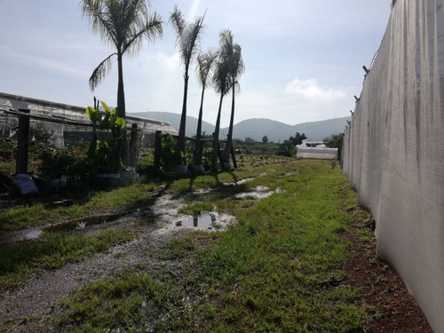 Terreno Urbano En Pedregal De Las Fuentes, Jiutepec, Morelos - Ari-607-tu