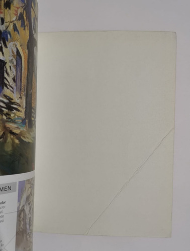 Pintura Al Pastel Para Principiantes