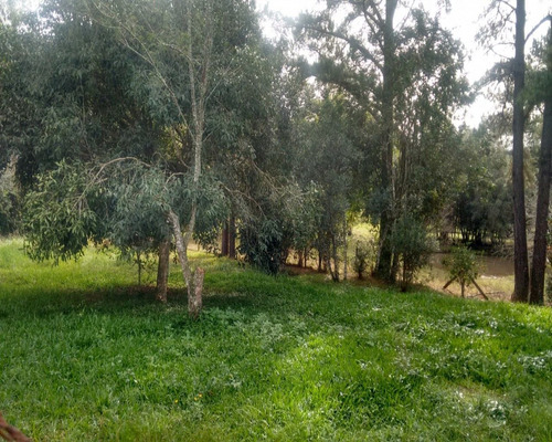 Chácara 2.500 M² - Morungava - Gravataí - Rs - 1487 - 32420008