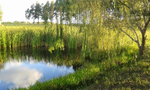 Magnifica Chacra De 30 Has. Con Vista A La Laguna De Jose Ignacio. Uruguay