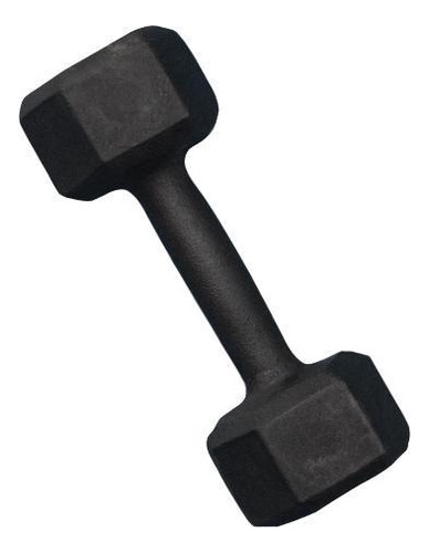 Halter Sextavado Pintado 1kg Academia Treino Musculação