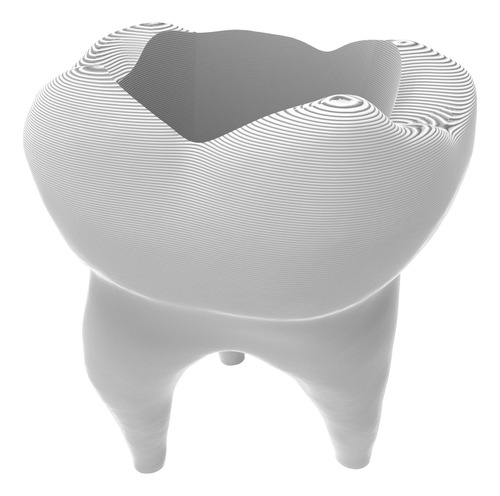 Vaso Decorativo Suculentas Cactus Dente Odontologia Odonto Cor Branco
