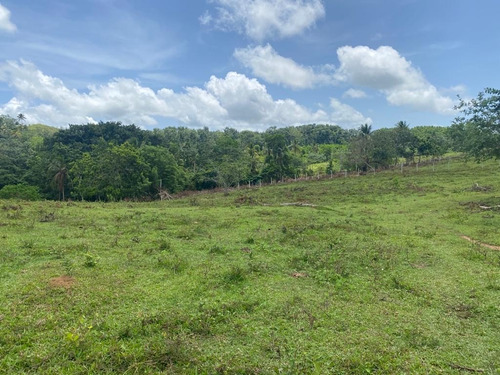 En Venta Terreno 191,000 Metros, Las Guazaras, Samana (caballos)