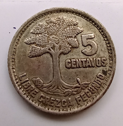Moneda Colección 5 Centavos De Quetzal, Guatemala, Año 1957