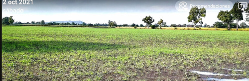 Remate De Fabuloso Lote Para Agricultura, Invernaderos, Rancho O Casas De Descanso. Luz, Agua Y Aire Puro A Tu Disposición.