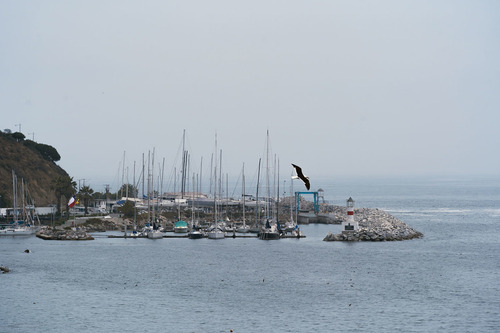 Costa Higuerillas