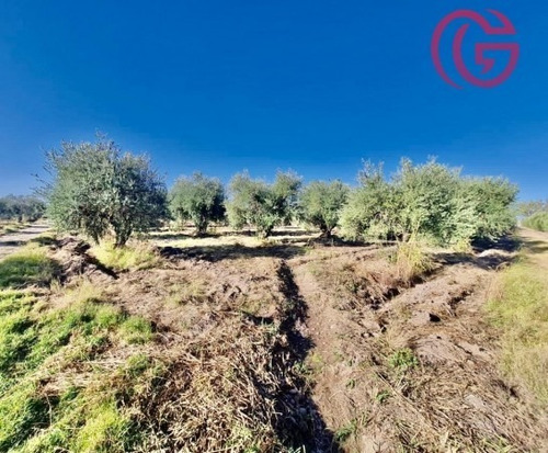 Imagen 2 de 16 de Greenwood Vende Finca Con Potencial