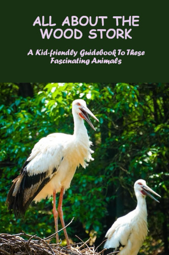 Libro: All About The Wood Stork: A Kid-friendly Guidebook To