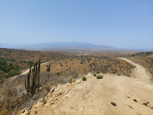 Terreno De 15.000 M² A 5 Minutos De La Playa Venta Directa