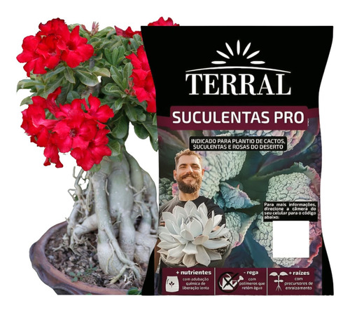 Substrato Rosa Deserto Pro Flores Cor Vibrantes Kit 2 Sacos