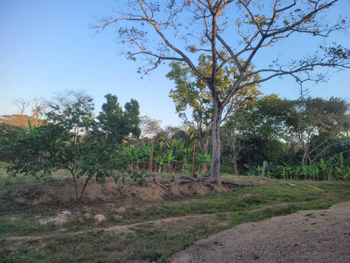 Global Vende Finca De 28 Hectáreas En Urb. Tocuyito Sector La Yaguara (vía Campo Carabobo)