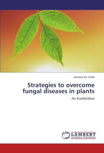 Estrategias Para Superar Las Enfermedades Fungicas En Planta