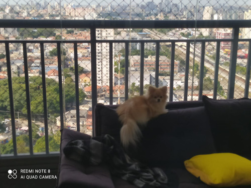 Kit Rede Proteção Crianças, Gatos Para Janelas 19,00x1,50