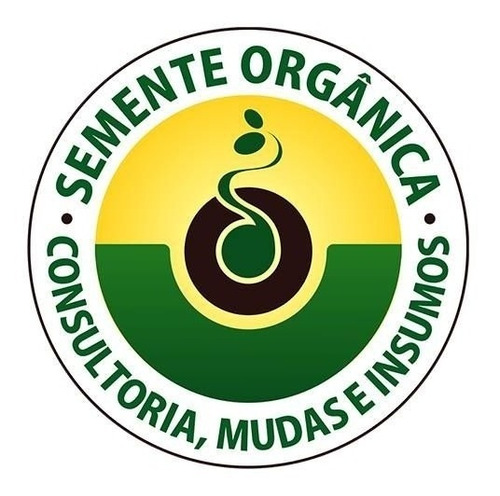 Muda Enxertada De Pêssego Branco Marli Com 80 Cm