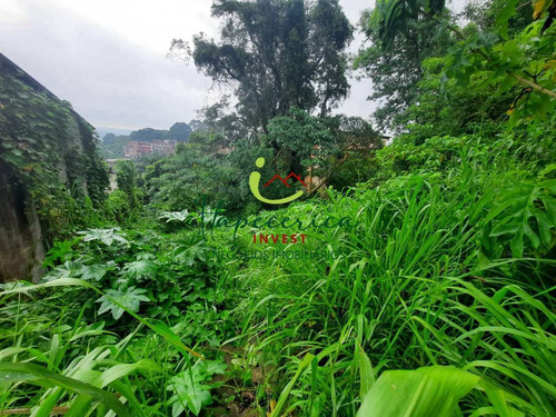 Imagem 6 de 6 de Terreno, Excelente Oportunidade! - Vte0573
