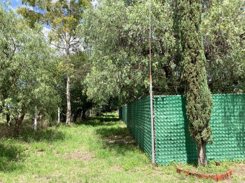 Imagen 6 de 26 de Terreno En Venta Para Inversionistas En La Localidad De Jofrito En Querètaro.