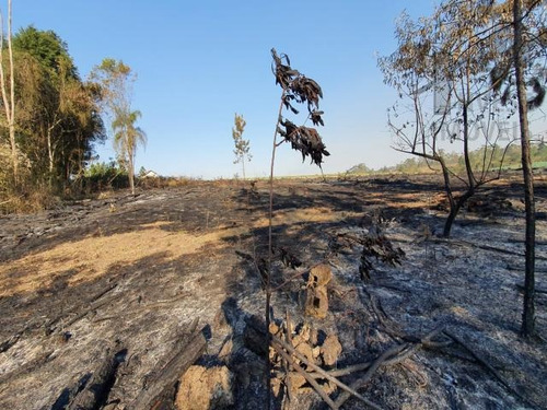 Imagem 5 de 5 de Cod 6172 - Terreno Na Cidade De Ibiúna. A Apenas 65 Km De S - 6172