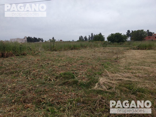 Imagen 2 de 7 de Terreno - La Plata