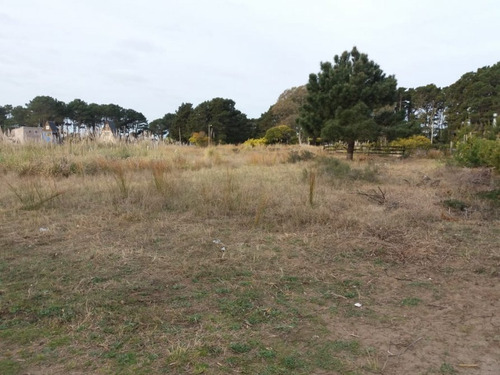 Imagen 5 de 5 de Lote En Venta Nueva Atlantis 500m2