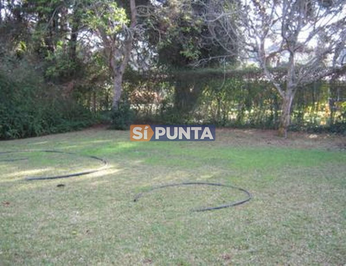 Imagen 3 de 5 de Casa En Alquiler Playa Mansa