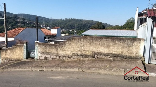 Imagem 4 de 6 de Terreno - Agronomia - Ref: 15746 - V-15746