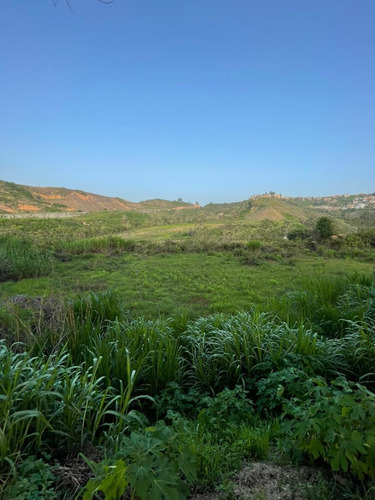 Imagen 7 de 14 de Terreno A La Venta En San Omero