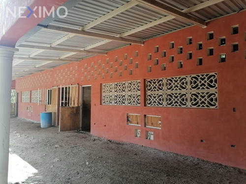 Imagen 8 de 30 de Casa En Venta De Un Piso En Cholul Mérida, Yucatán Con Grandes Jardines Y Alberca