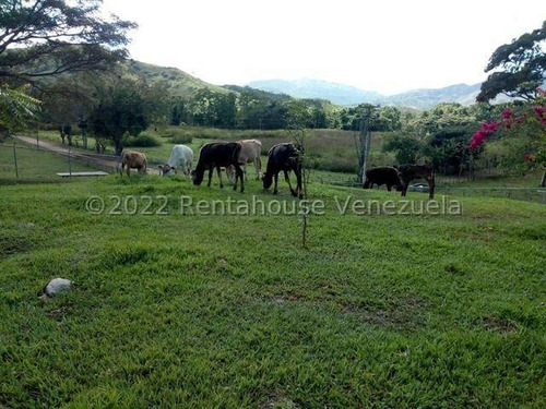 Finca Ganadera 267 Hectareas, Casa Principal De 550 Mts2 De Construcción Aproximados, 3 Depósitos De Maquinarias, Techos Nuevos, Ventanales Panoramicos Y Corredores