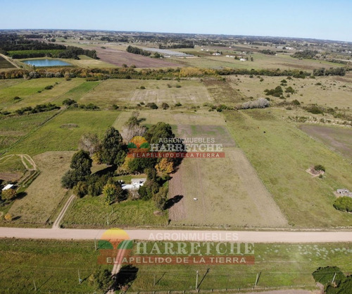 Imagen 4 de 30 de Chacra 5 Has En Venta, Casa 3 Dorm, Cno Gigante