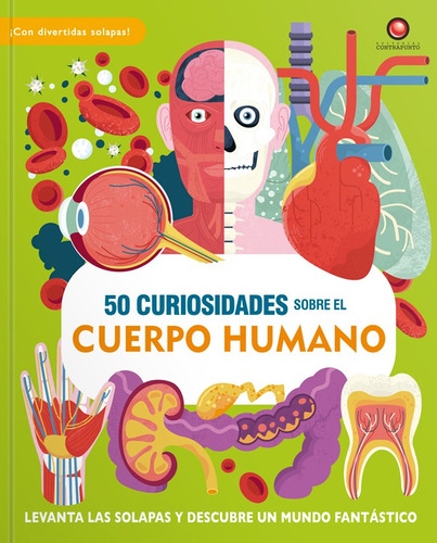 Libro 50 Curiosidades Sobre El Cuerpo Humano, De William Petty. Editorial Contrapunto, Tapa Dura, Edición 1 En Español, 2023