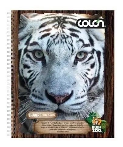 Cuaderno Universitario Buin Zoo 100h 7mm Pack 10 Uni. Colon