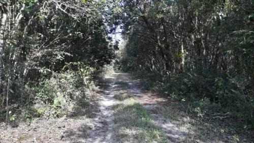 Imagem 4 de 5 de Terreno Para Chácara Bairro Chácara Lucel, Em Itanhaém -7911