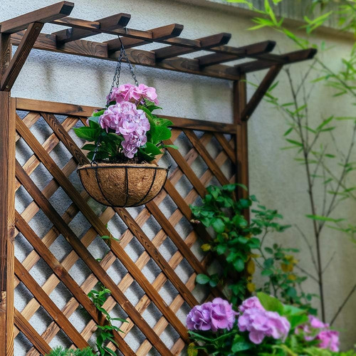 Porta Macetas Colgante Fibra De Coco Planta M3 - Sheshu Home