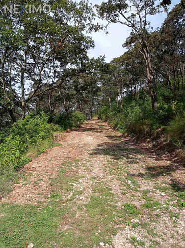 Imagen 5 de 7 de Terreno En Venta Barrio De San Nicolás, San Cristóbal De Las Casas, Chiapas