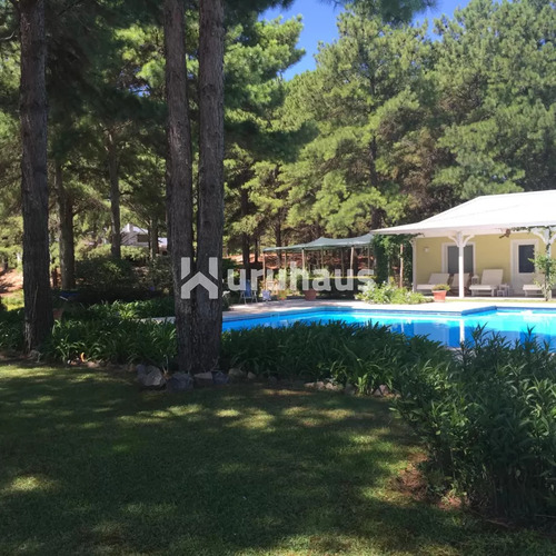 Venta Mansion Once Dormitorios Colonia