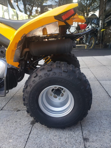 Imagem 4 de 4 de Can Am Quadriciclo Ds 250 Cc