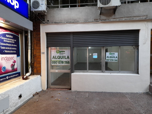 Alquilo Local Comerial Pocitos Av. Brasil