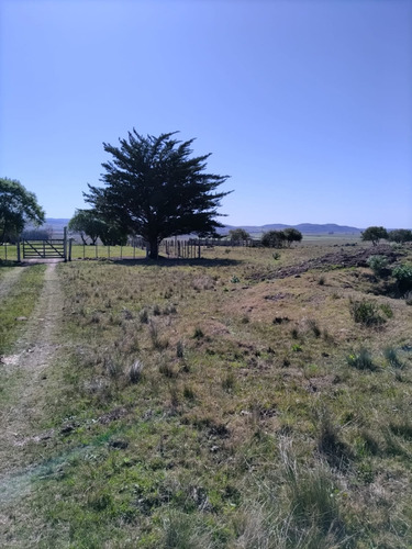 Campo De 397 Has - Maldonado, Aiguá