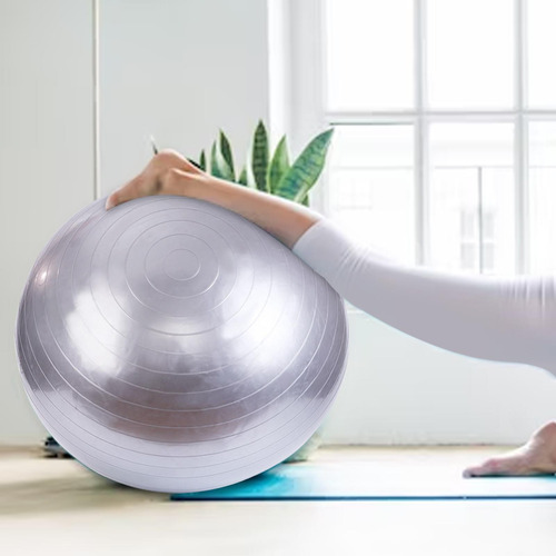 Pelota De Pelota De Ejercicio Pelota De 55cm Plata