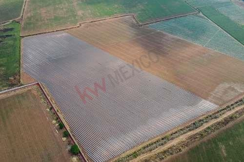 Imagen 6 de 12 de Terreno En Venta En Nextipac, Zapopan De 6 Hectáreas