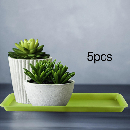 5 Piezas Plantillas Bandejas Vegetales, Rectangulares, Verde