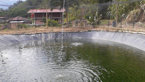 Imagen 18 de 21 de Vendo Finca Ganadera En Balboa Risaralda