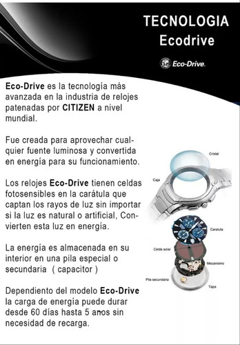Reloj Citizen Eco-drive Titanio Ca0340-55e Cristal Zafiro Gris (Usado)
